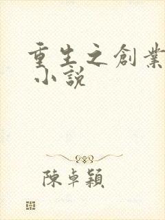 重生之创业时代 小说