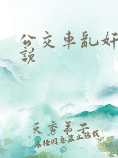 公交车乱奸记小说