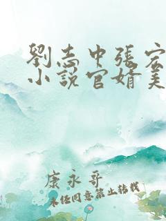 刘志中张宏阳的小说官婿美人香