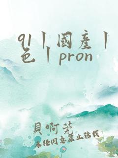 91丨国产丨九色丨pron