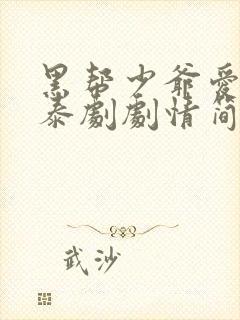 黑帮少爷爱上我泰剧剧情简介