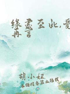 缘尽至此,爱不再言