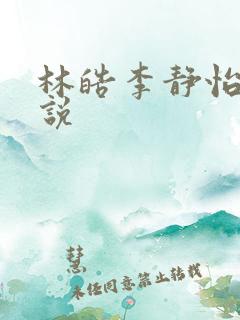 林皓李静怡的小说