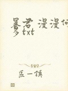 暴君 漫漫何其多txt