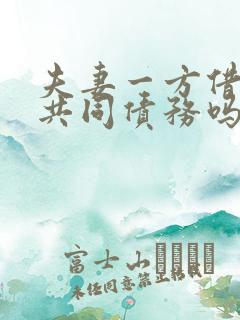 夫妻一方借款算共同债务吗