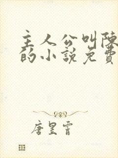 主人公叫陈天极的小说免费阅读