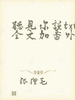 听见你说txt全文加番外