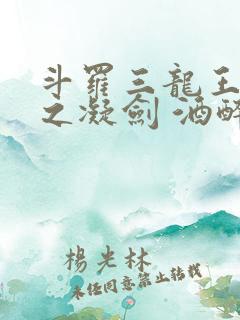 斗罗三龙王传说之凝剑 酒醉而言