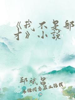 《我不是那种人才》小说