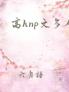 高hnp文多人