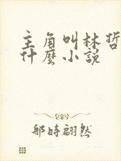 主角叫林哲的是什么小说