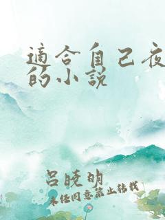 适合自己夜里看的小说