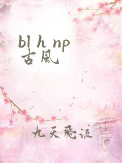 bl h np古风