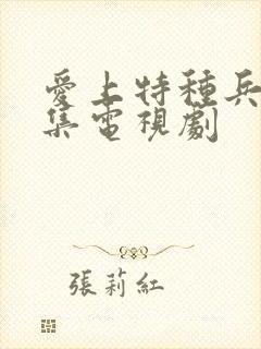 爱上特种兵40集电视剧