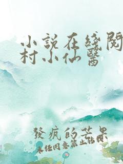 小说在线阅读乡村小仙医