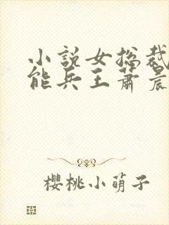 小说女总裁的全能兵王萧晨完全版