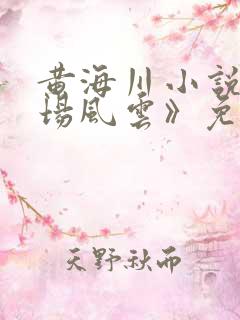 黄海川小说《官场风云》免费听书