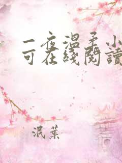 一夜温柔小说小可在线阅读