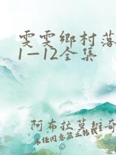 雯雯乡村落难记1—12全集