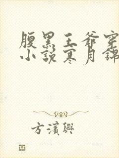 腹黑王爷穿越妃小说寒月锦
