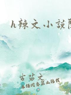 h辣文小说阅读
