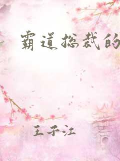 霸道总裁的爱人