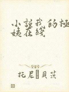 小说我的极品小姨在线