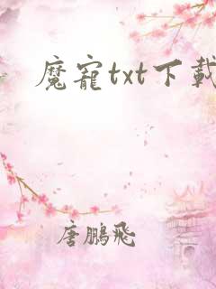 魔宠txt下载