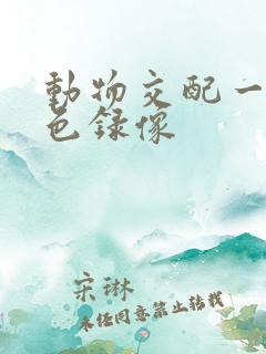 动物交配一级黄色录像