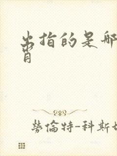 出指的是哪个生肖
