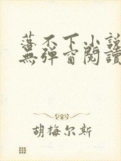 落不下小说免费无弹窗阅读