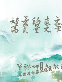 好看的爽文小说高质量文笔好