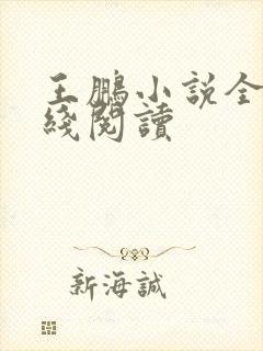 王鹏小说全集在线阅读