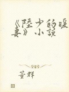 《陆少的暖婚新妻》小说