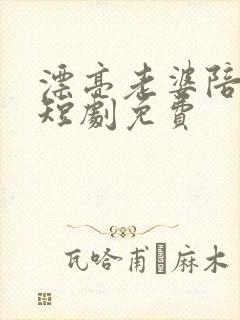 漂亮老婆陪过年短剧免费