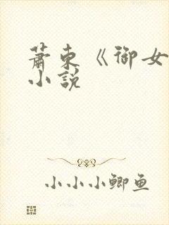 萧东《御女诀》小说