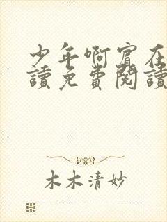 少年啊宾在线阅读免费阅读完整版