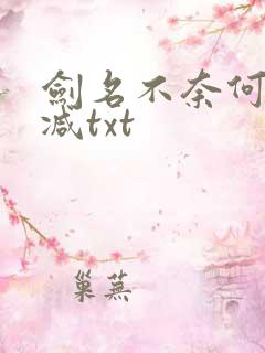 剑名不奈何无删减txt