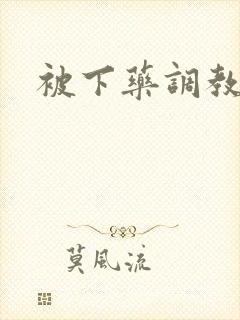 被下药调教