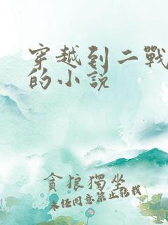 穿越到二战时期的小说