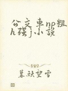 公交车np粗暴h强j小说
