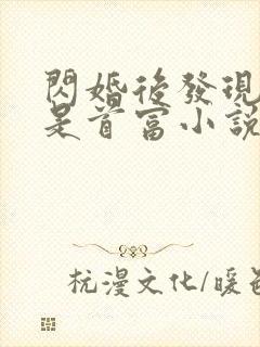 闪婚后发现老公是首富小说免费阅读