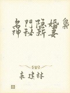 名门隐婚枭爷的神秘新妻