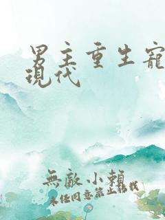 男主重生宠妻文现代