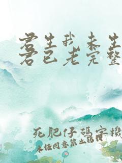 君生我未生我生君已老完整诗句