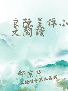良陈美锦小说全文阅读