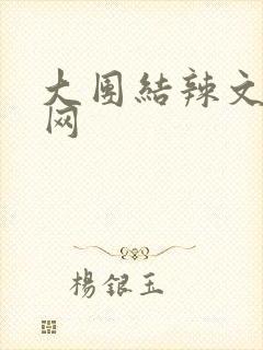 大团结辣文小说网