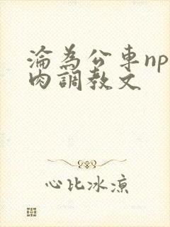 沦为公车np纯肉调教文