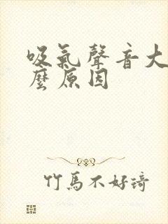 吸气声音大是什么原因