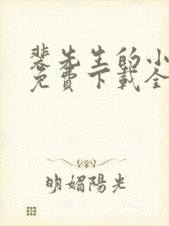 裴先生的小甜妻免费下载全本